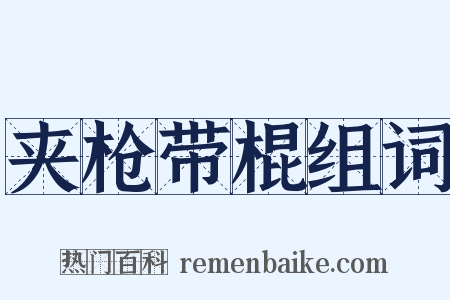 夹枪带棍组词是什么意思的图片